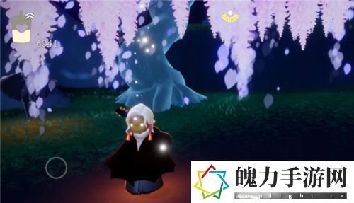 2.jpg光遇紫藤树挂机能拿多少蜡烛