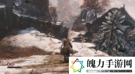 只狼黑色不死斩能拿吗