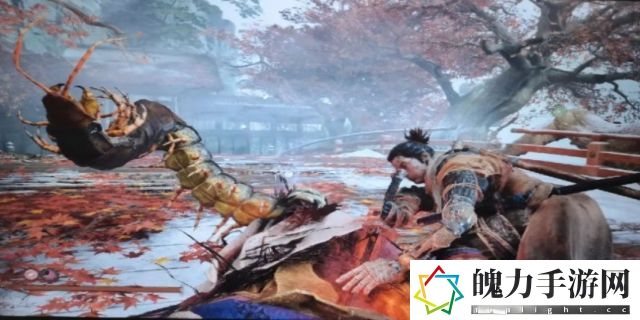 只狼幻影苦无怎么获得