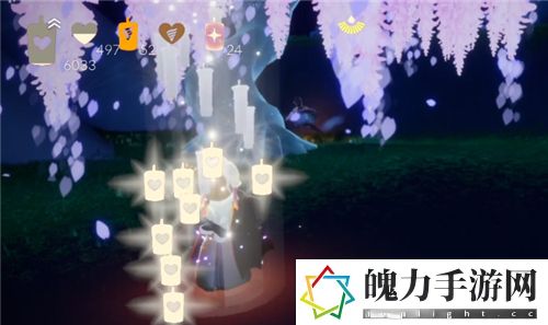 光遇紫藤树挂机能拿多少蜡烛