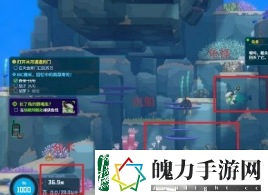 潜水员戴夫长了角的鹦嘴鱼任务怎么玩