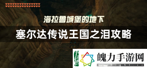 塞尔达传说王国之泪序章怎么玩