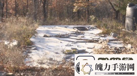 你敢信吗