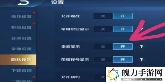 王者贵族怎么开启显示