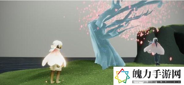 光遇花憩节赏花位置在哪