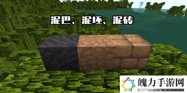 我的世界泥土变为草方块的条件