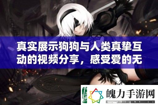 真实展示狗狗与人类真挚互动的视频分享