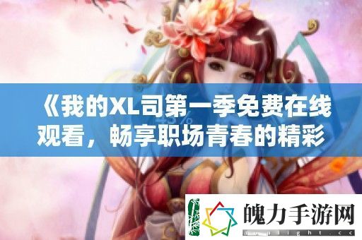 我的XL司第一季免费在线观看