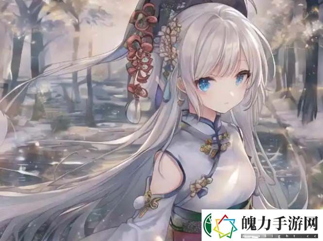 哪些省份的用户更倾向于在免费网站上观看视频