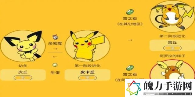 皮丘怎么进化成皮卡丘