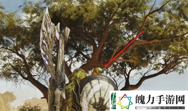 怪物猎人荒野泡歌鸮具体位置分享