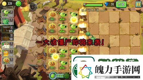 植物大战僵尸2功夫世界第十天攻略
