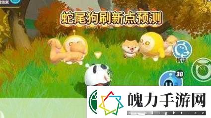 蛋仔派对蛇尾犬信物