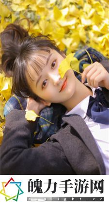 暗黑2存档：暗黑2存档的基本信息