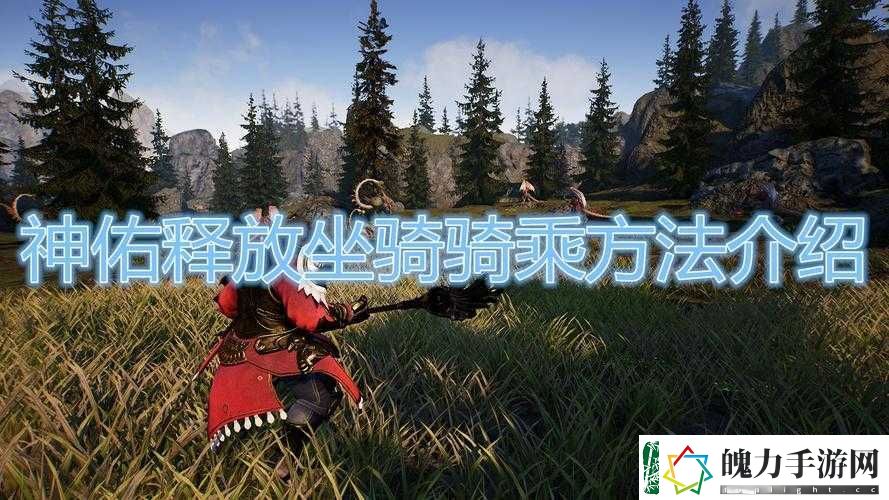 神佑释放如何骑马