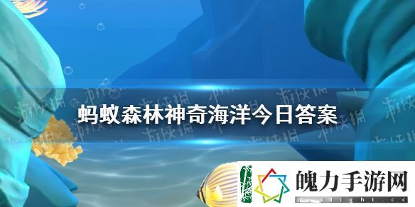 鲨鱼在太阳下晒久了会变黑吗