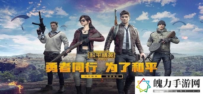 和平精英战绩怎么查询