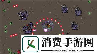 城堡破坏者最强疯狂武器——探索游戏中最具破坏力的武器选择与策略