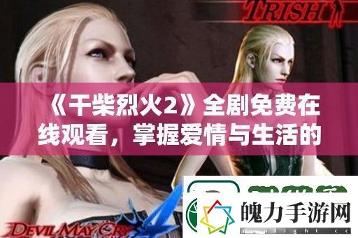 干柴烈火2全剧免费在线观看