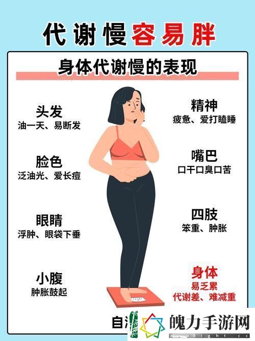 中国女人96XXXXX代谢