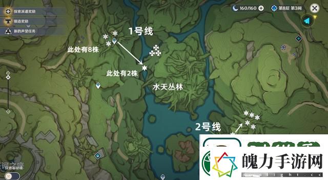 原神树王圣体菇位置