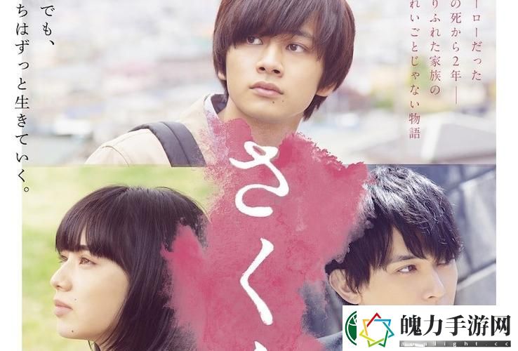樱花免费观看电视剧版