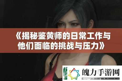 揭秘鉴黄师的日常工作与他们面临的挑战与压力