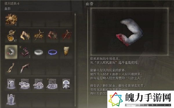 艾尔登法环被入侵是什么意思