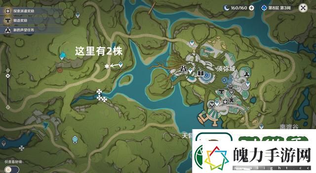 原神树王圣体菇位置