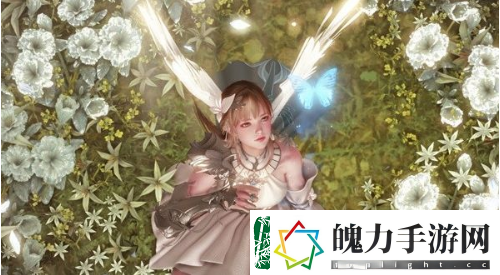命运方舟私语小岛妮娜芙在哪
