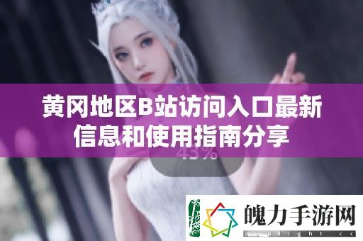 黄冈地区B站访问入口最新信息和使用指南分享