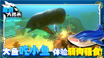烟雨江湖真武七截3次怎么升5次