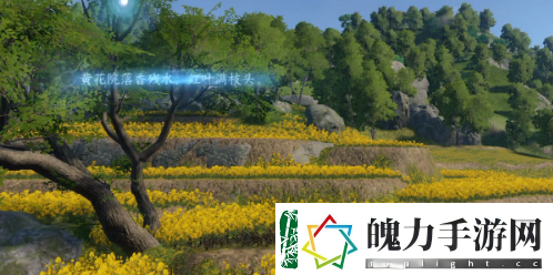 逆水寒手游磁州词话油菜花任务怎么做