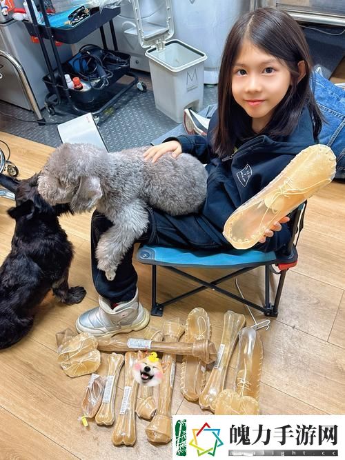探索“狗和人胶配方20分钟”