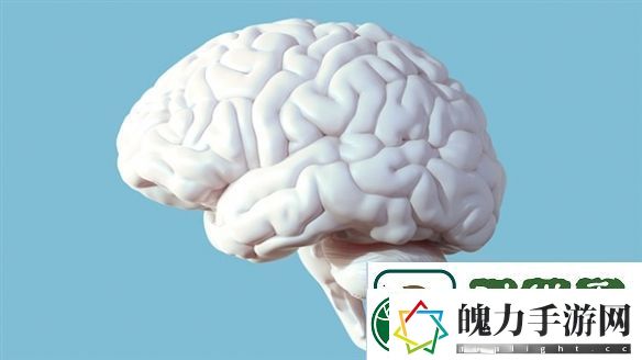 最新研究显示