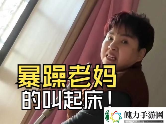 暴躁老妈高清免费观看电视剧