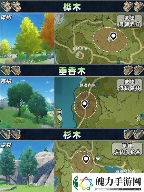 原神桦木分布位置的秘密全解析