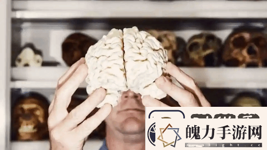 最新研究显示