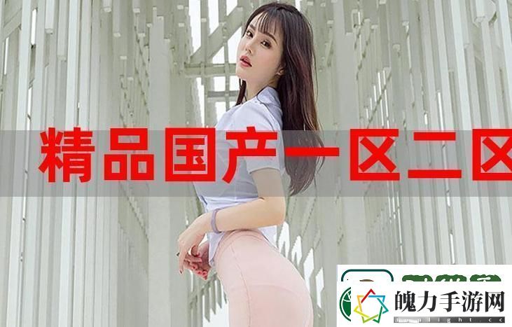 探索行业辉煌的“91精产国品一二三产区”