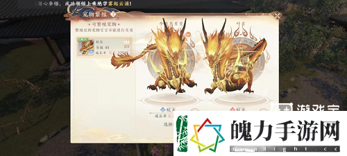 天龙八部2飞龙战天神兽怎么繁殖