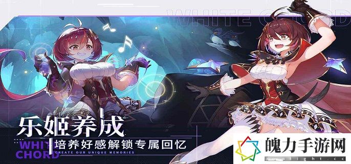 纯白和弦钻石买什么.jpg