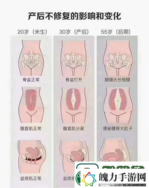 精产一二三产区划分标准图片的解读与应用