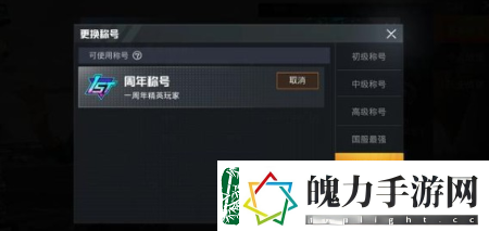和平精英一周年精英玩家更换称号详解