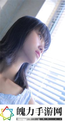 2019老司机www里面填什么：网络资源分享的常见认知