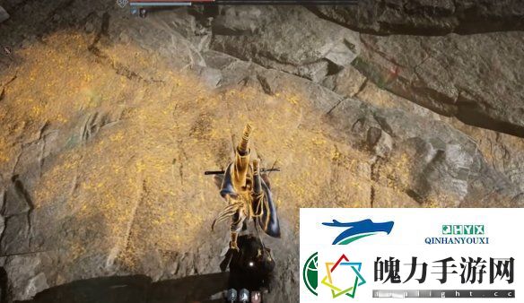 燕云十六声妙善如何用**神掌奇术打法