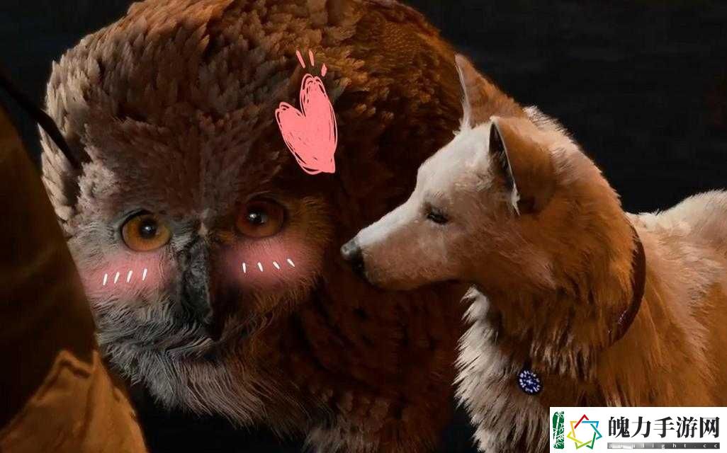 博德之门3中猫头鹰幼崽究竟如何诱拐