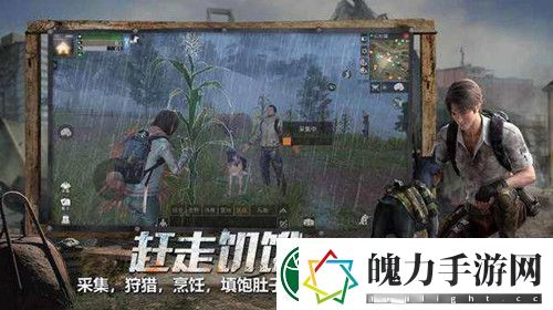 明日之后再生者和人类哪个好