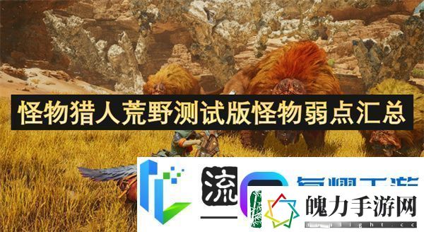 怪物猎人荒野测试版怪物弱点汇总
