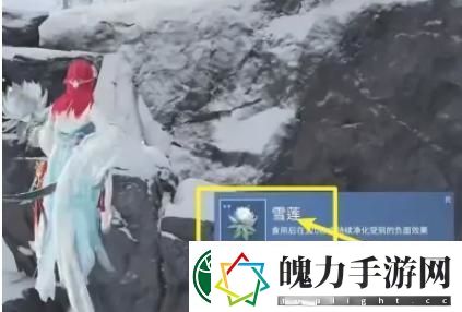永劫无间雪莲村位置介绍