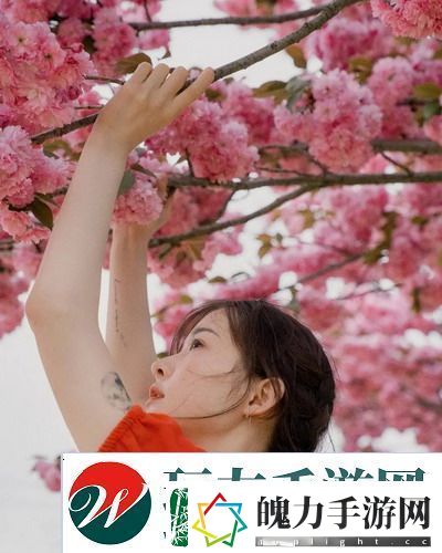 日亚M码是日本的还是中国的